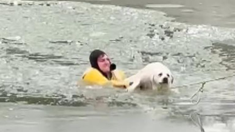 Dog Rescued After Falling Through Thin Ice In Missouri | US News | Sky News