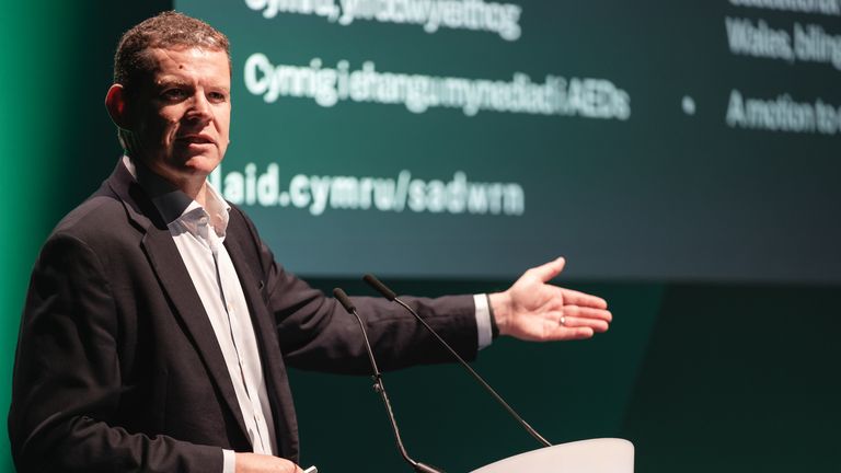 Rhun ap Iorwerth. File pic: Plaid Cymru