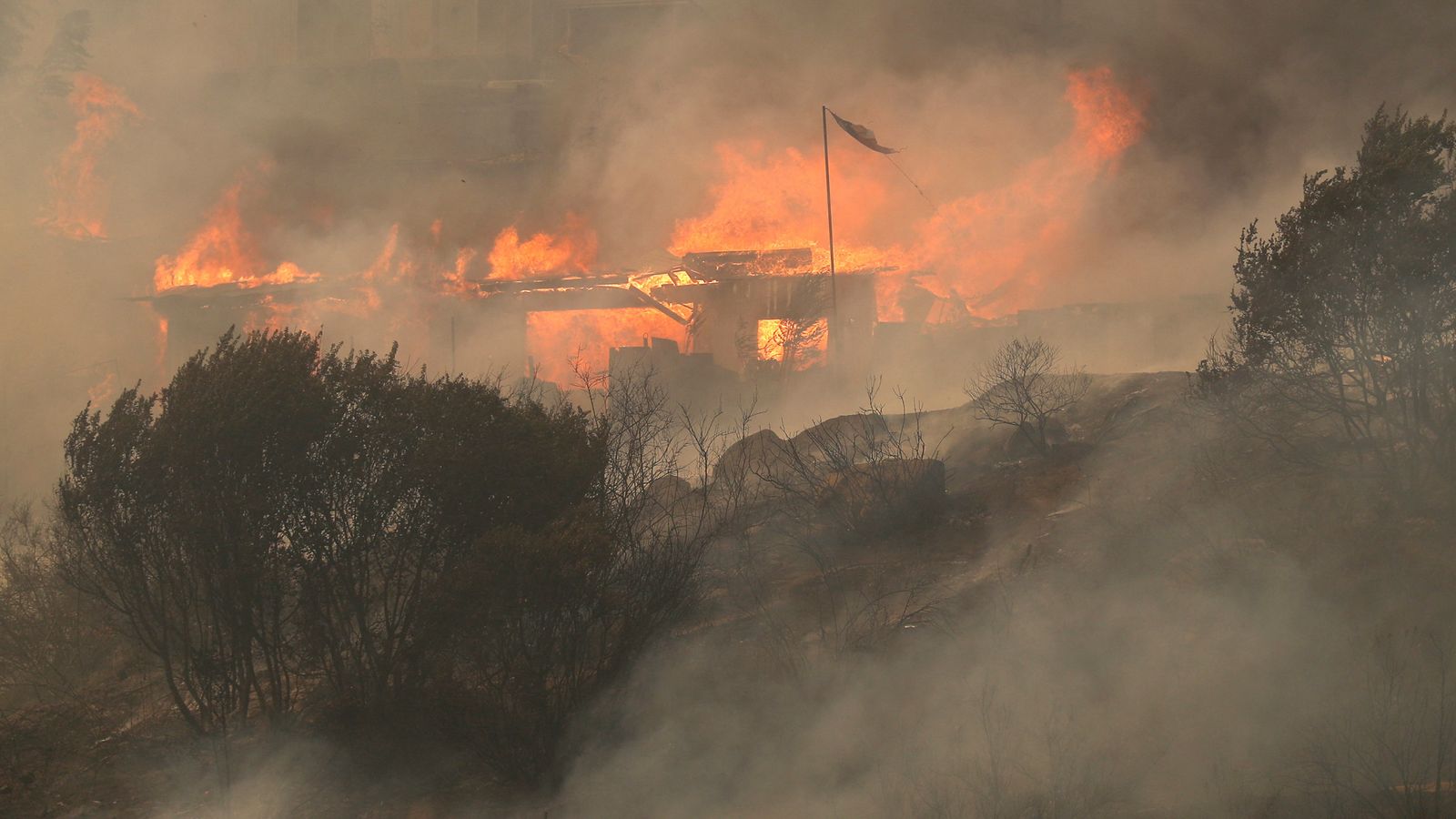 Горски пожари в Чили: Десетки загинали толкова бързо, колкото бързо разпространяващите се пламъци причиняват опустошения