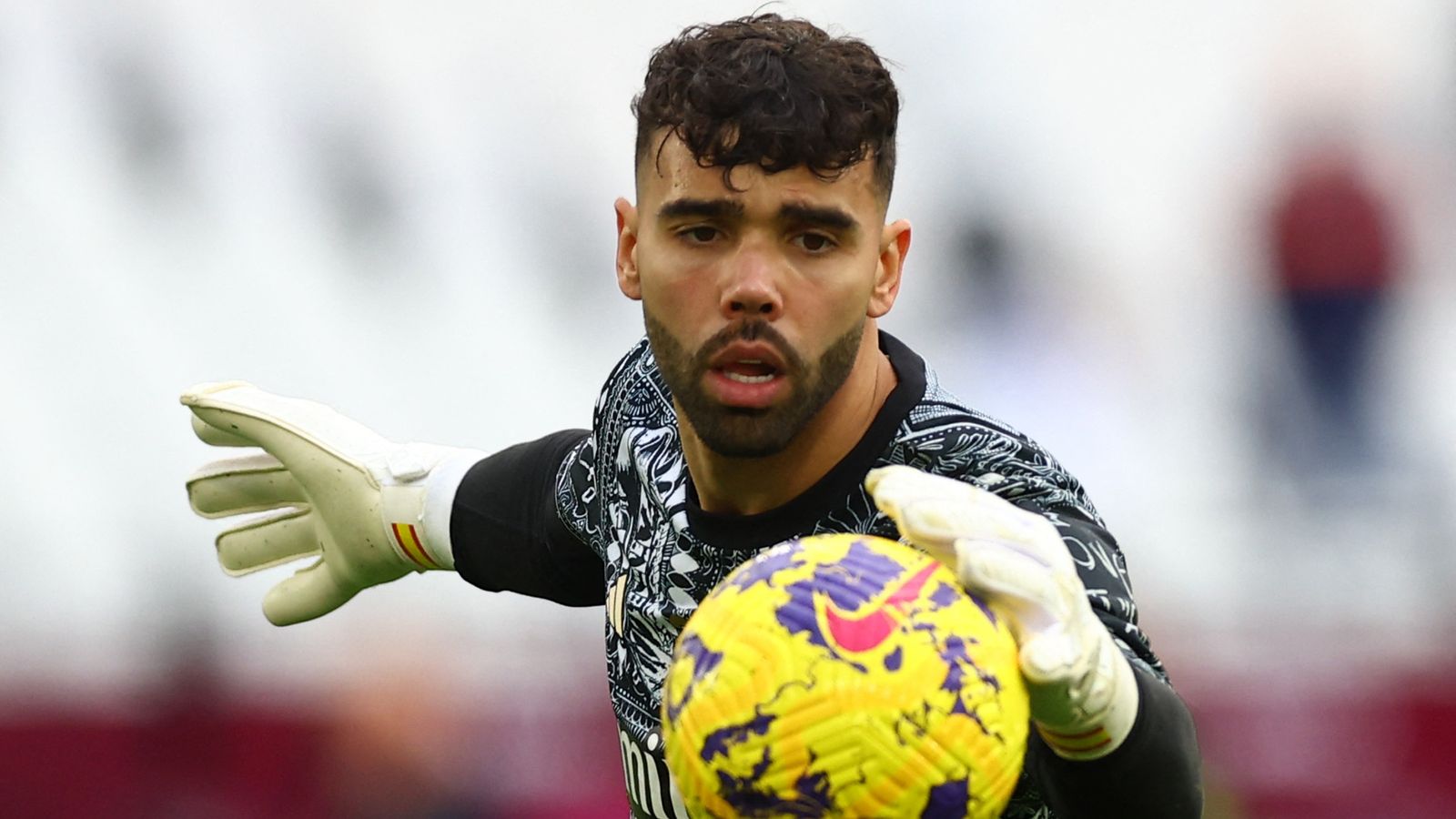 Arsenal footballer David Raya training XL bully to guard his property