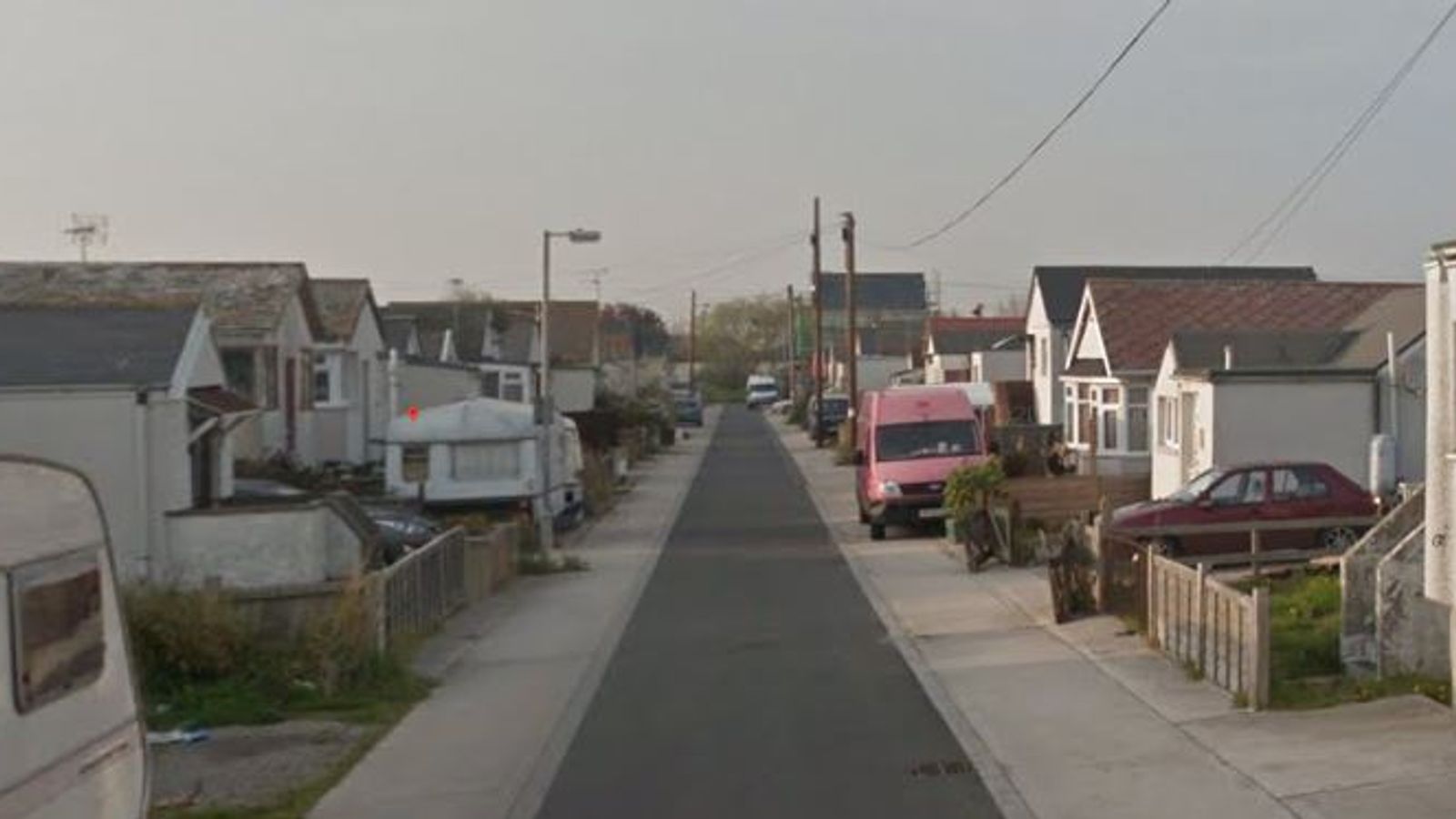 Woman dies after being mauled by two dogs in Essex