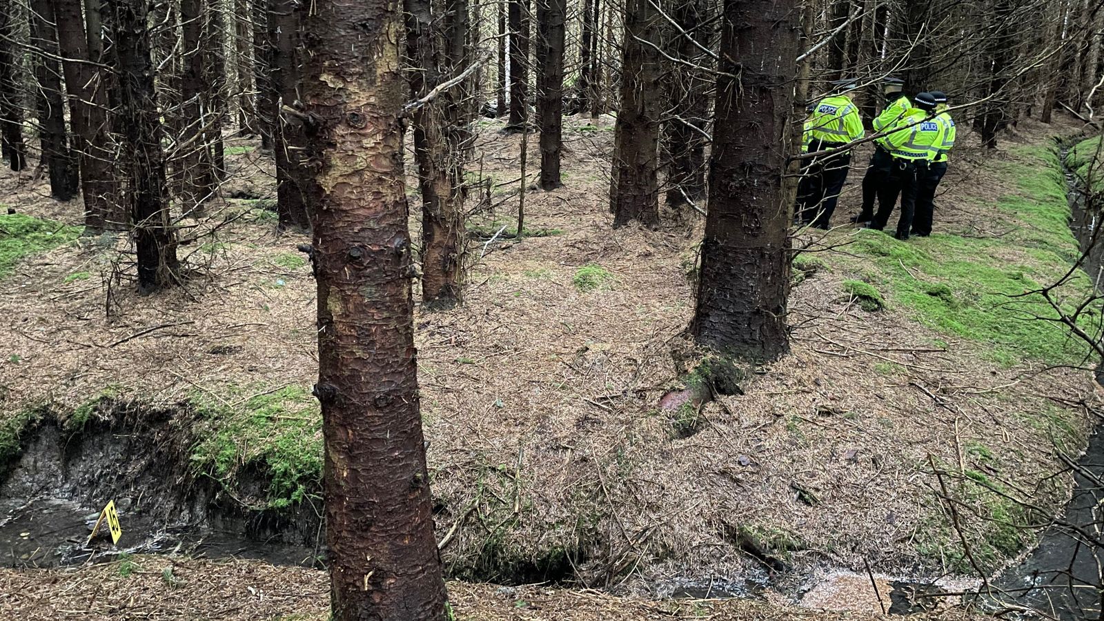 Emma Caldwell death: Murder suspect Iain Packer and jury visit South Lanarkshire woods where body was found