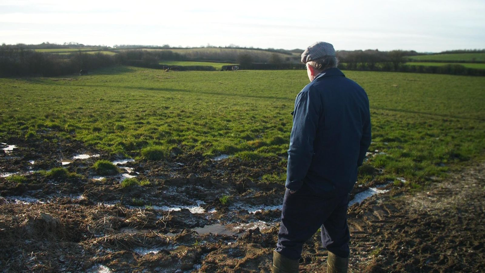 'Our old way of life will be gone forever': The tenant farmers targeted by solar developers