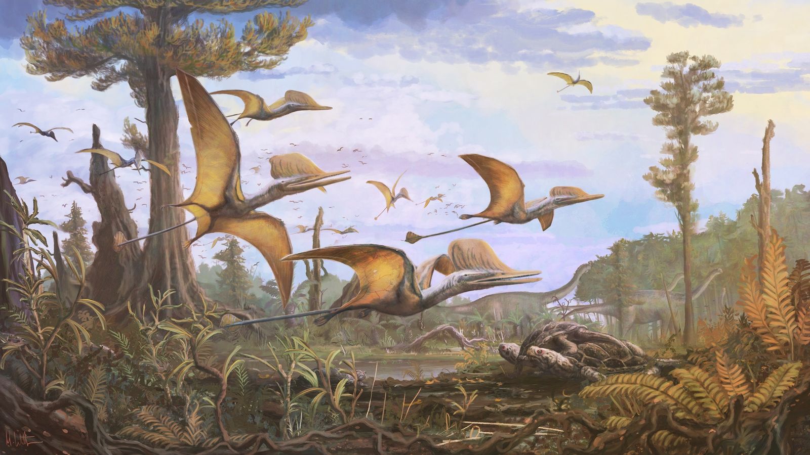 Открытие нового вида птерозавров, жившего примерно 170 миллионов лет назад в Шотландии.  Новости Великобритании