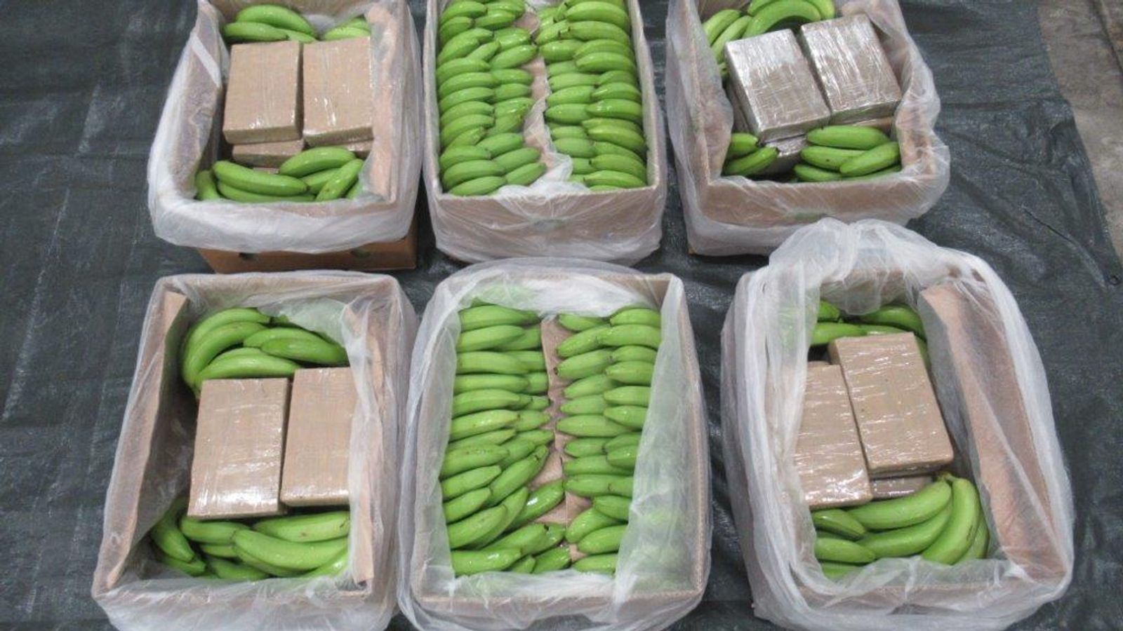 Кокаин на стойност 450 милиона паунда, открит скрит в пратка банани при най-голямото арестуване на наркотици клас А