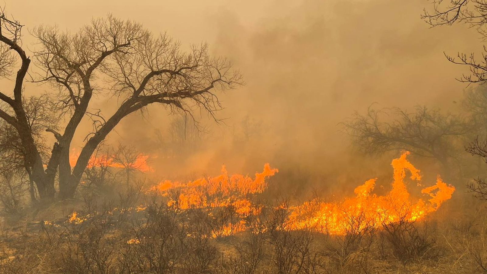 Texas: Disaster declaration issued and nuclear weapons plant shut down as wildfires spread