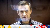 Alexei Navalny
Pic: AP