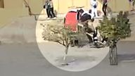 CCTV still of an elephant attacking a tourist in Jaipur, India. Pic: PETA