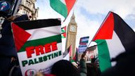Protesters in Parliament Square during a pro-Palestine march. Pic: PA