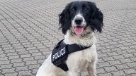 PD Harris. Pic: Police Scotland