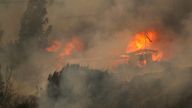 Houses burn amid the spread of wildfires in Vina del Mar, Chile February 3, 2024. REUTERS/Rodrigo Garrido
