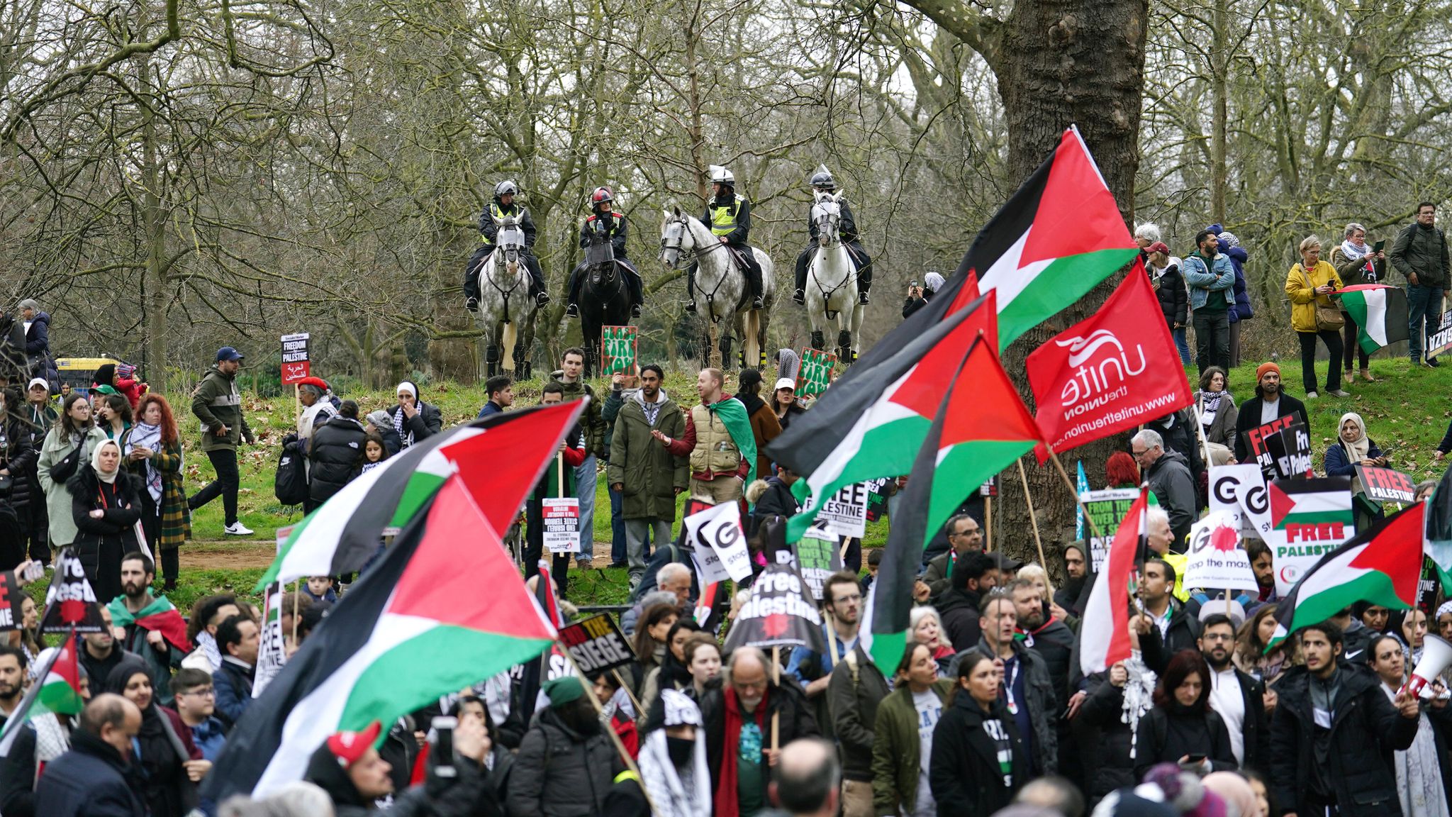 Twelve People Arrested At Pro-Palestine Demonstration In London | UK ...