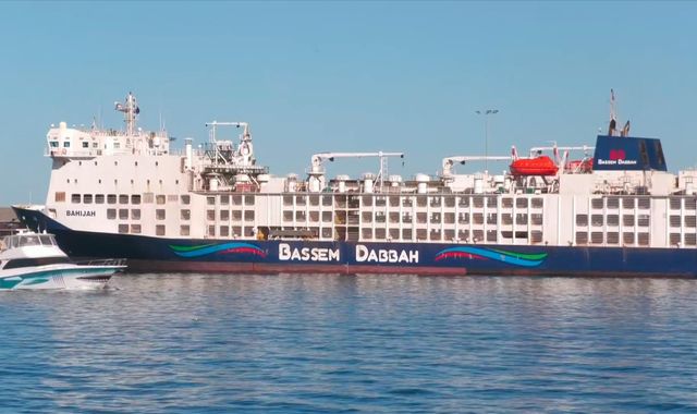 Thousands of sheep and cattle stuck on Israel-bound ship halted by Red Sea attacks - Vimarsana News