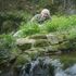Working 7 days a week and crawling through damp grass aged 97:  David Attenborough
