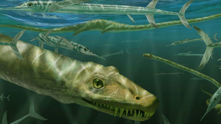 EMBARGOED TO 0001 FRIDAY FEBRUARY 23 Undated handout artist impression of a Dinocephalosaurus orientalis swimming alongside some prehistoric fish known as Saurichthys. The long-necked 240-million-year-old marine reptile compared to a Chinese dragon has been depicted in full for the first time following new research. The Dinocephalosaurus orientalis fossils were discovered in Guizhou province, southern China. Issue date: Friday February 23, 2024.

