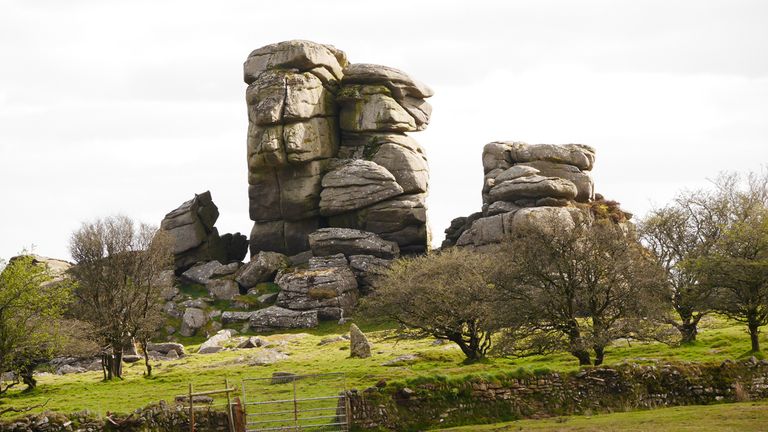 Vixen Tor in Dartmoor. Pic: iStock