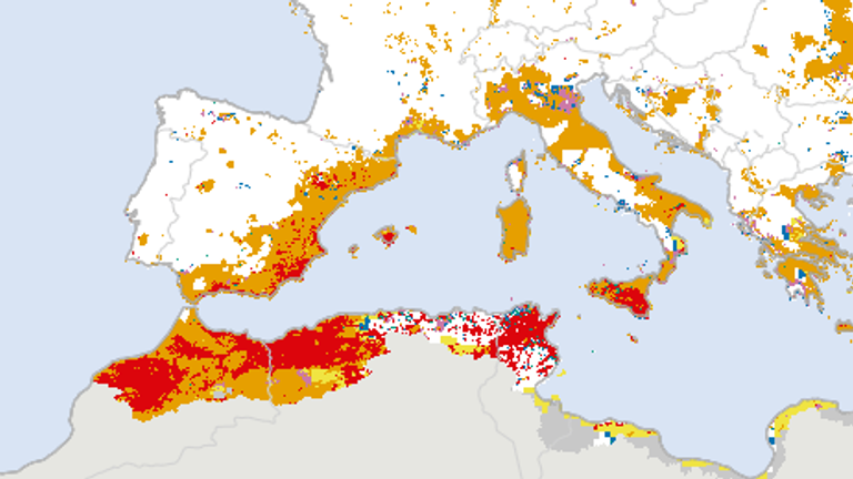 According to the latest map of the Combined Drought Indicator
16.1% of the EU-27 territory (without Madeira, Azores, Canary Islands) plus the United Kingdom is in Warning conditions
and 1.2% is in Alert conditions. Pic: EDO/Copernicus/EU