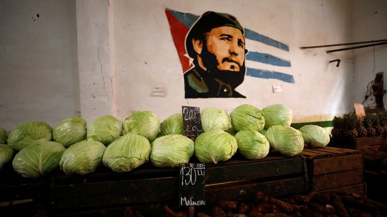 Cabbage is on display for sale underneath an image of Cuba&#39;s late President Fidel Castro at a fresh produce market, in Havana, Cuba January 23, 2024. REUTERS/Yander Zamora
