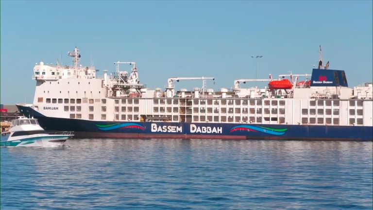 Thousands of sheep and cattle stuck on Israel-bound ship halted by Red Sea attacks - Vimarsana News