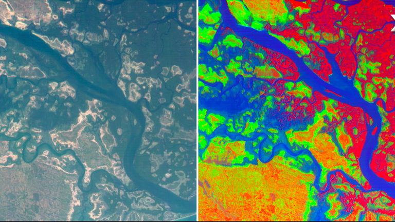Satellite imagery of Saloum Delta, Senegal. For Lazarus lead