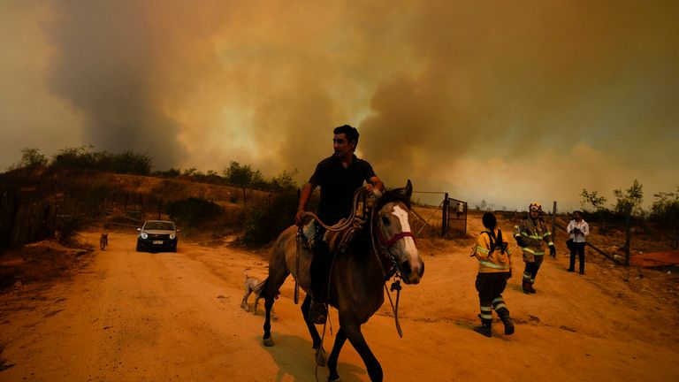 A resident flees an encroaching forest fire in Vina del Mar, Chile, Saturday, Feb. 3, 2024. Officials say intense forest fires burning around a densely populated area of central Chile have left several people dead and destroyed hundreds of homes. (AP Photo/ Esteban Felix)
