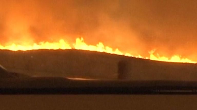 TEXAS WIDLFIRE