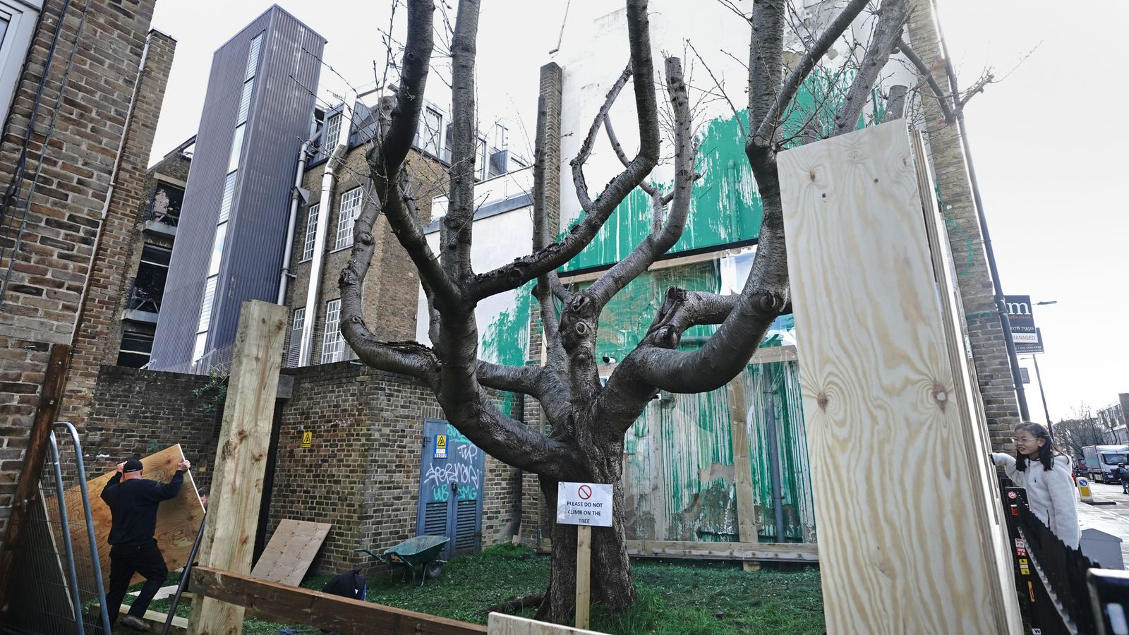 Нов стенопис на Банкси в северен Лондон, покрит с пластмасови листове и дървени дъски