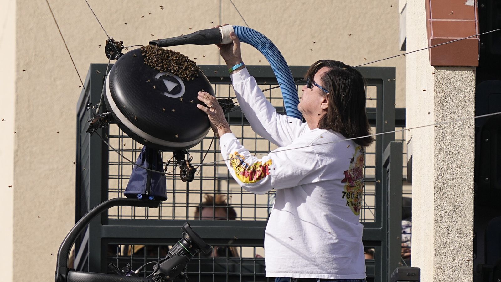 The hero tennis bee keeper from Indian Wells talks to Sky News | World ...