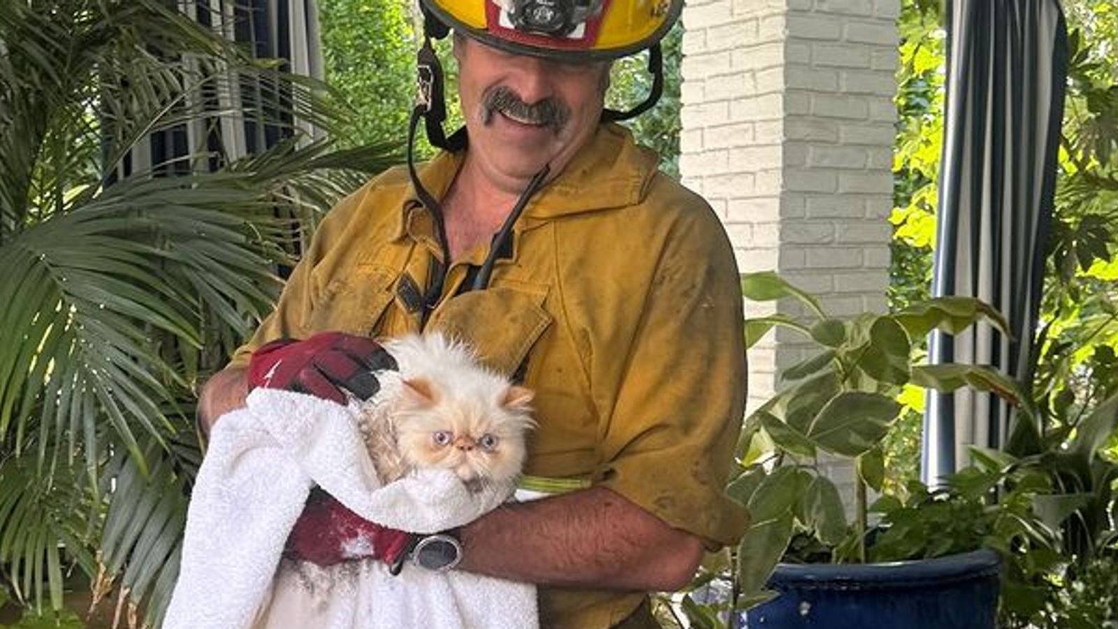 Кара Делевин благодари на пожарникарите, след като котките бяха спасени от горящия й дом