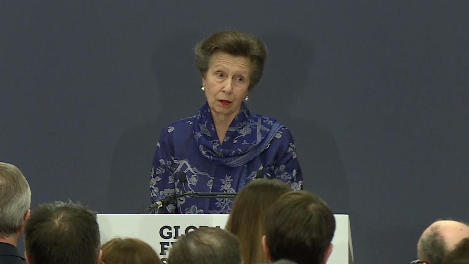 Принцеса Ан призовава за глобални усилия за справяне с измамите, тъй като Обединеното кралство вижда повече от 3,5 милиона случая