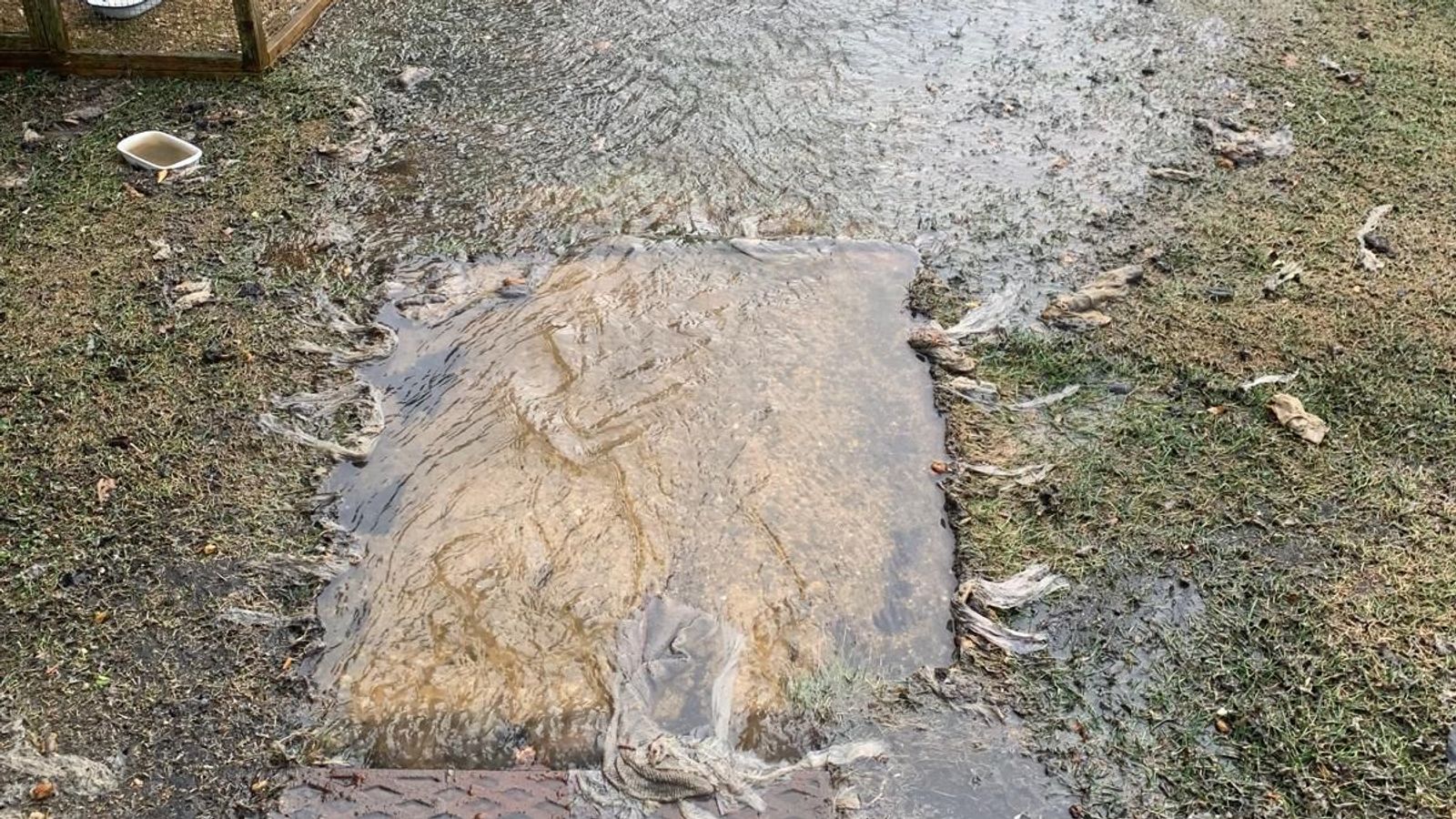 'Shocking' incidents of sewage spewing into gardens and streets - with ...