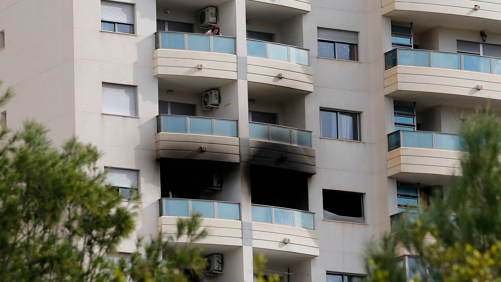 Three members of family die, including boy found hugging pet dog, in Alicante tower block fire