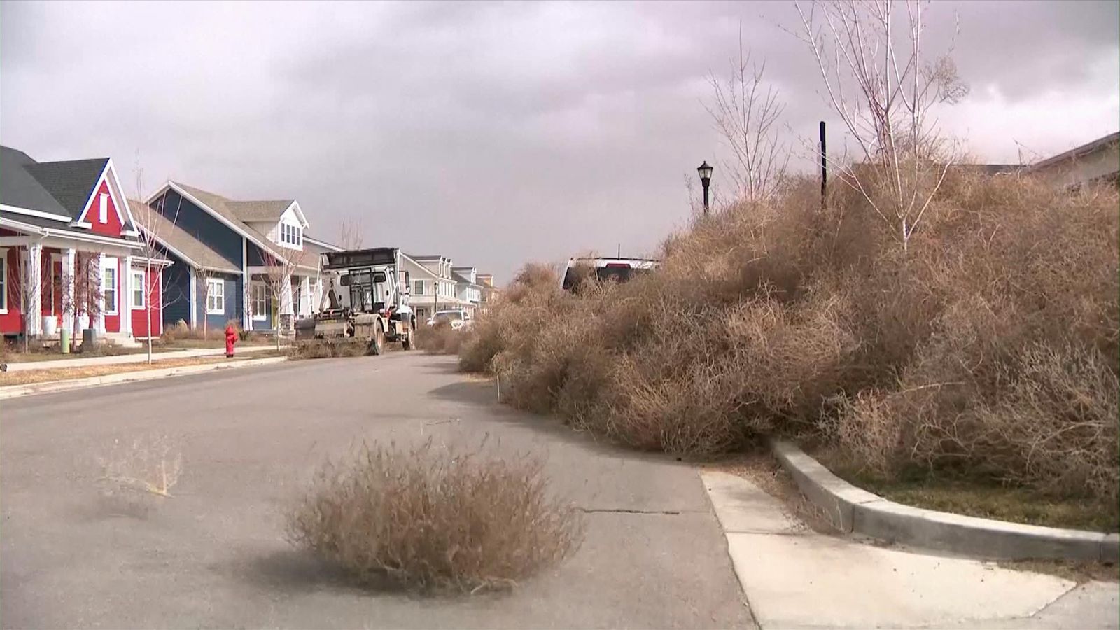 ‘Tumblemageddon’ Thousands of tumbleweeds take over Utah towns US