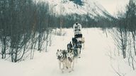 British commandos have trialled using dogs to supply troops operating deep behind enemy lines with ammunition and food in the Arctic Circle. Pic: Royal Navy