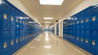 File pic: iStock/TW Farlow