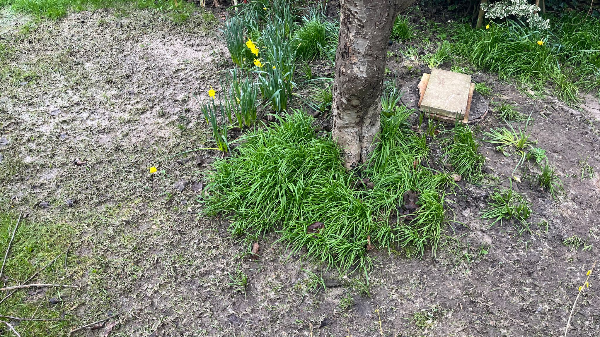 Shocking Incidents Of Sewage Spewing Into Gardens And Streets With shocking-incidents-of-sewage-spewing-into-gardens-and-streets-with