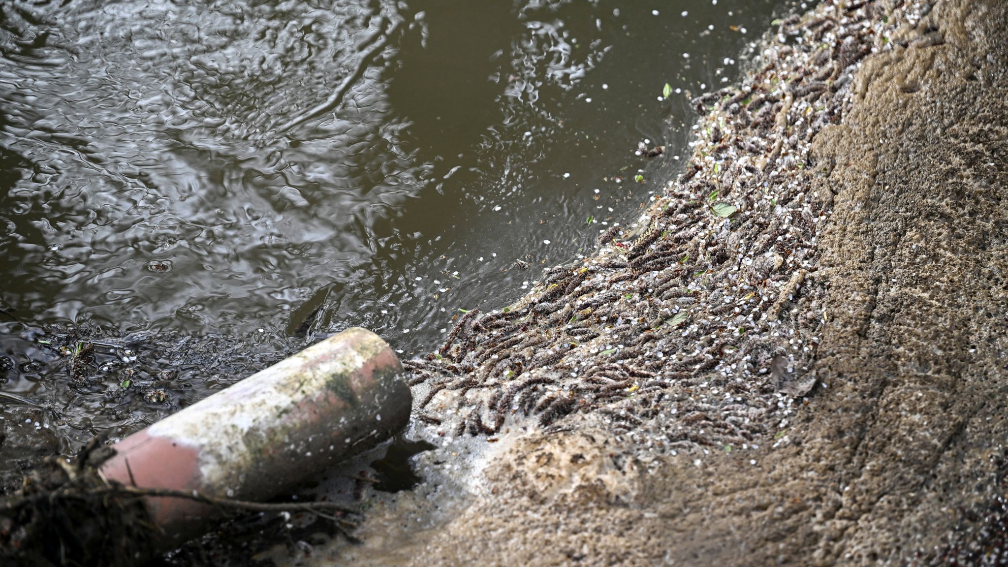 Faulty sewage spill monitors spark accusations of 'environmental cover ...