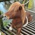 Shetland pony rescued after getting stuck in a cattle grid