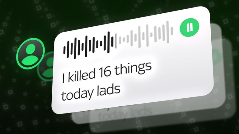 A voice message left in a catapult group on WhatsApp