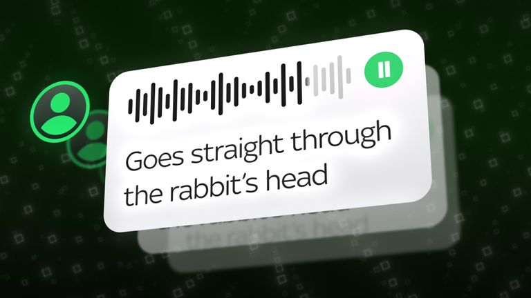 A voice note left in one of the catapult groups on WhatsApp
