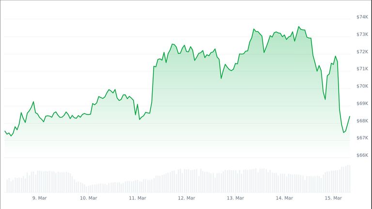 Bitcoin&#39;s price over the past week. Pic: CoinGecko