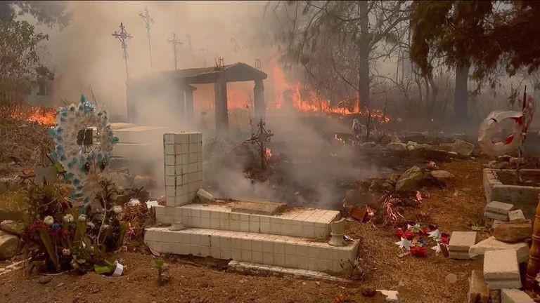 Mexico: Forest fires rage across Mexico amid severe drought | World News | Sky News