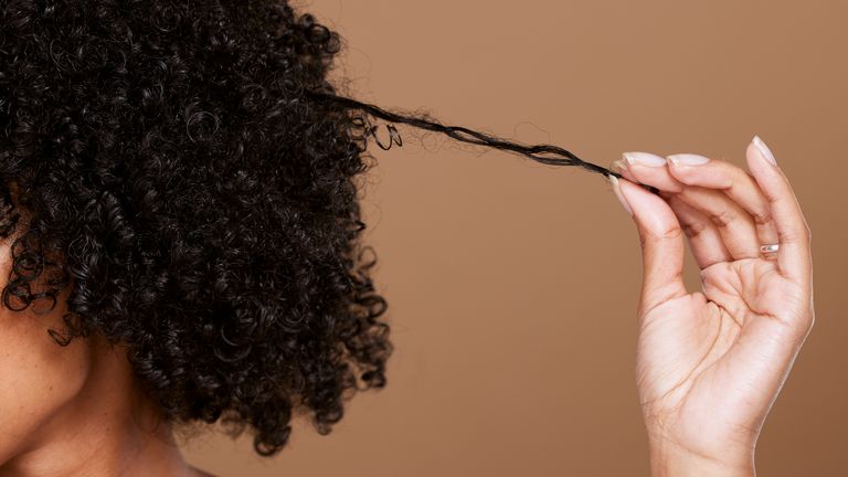 Hair care, beauty and black woman hand with curly hair on brown background in studio. Hair salon, wellness and girl holding curl marketing hair treatment products for growth, natural and healthy hair