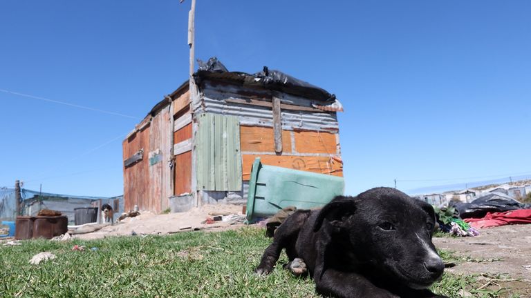 Six-year-old Joshlin Smith's Middelpos informal settlement home, where she disappeared in Saldanha
Pic: Reuters
