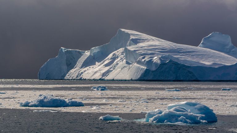 Icebergs and melting pack ice in Greenland. Pic: AP