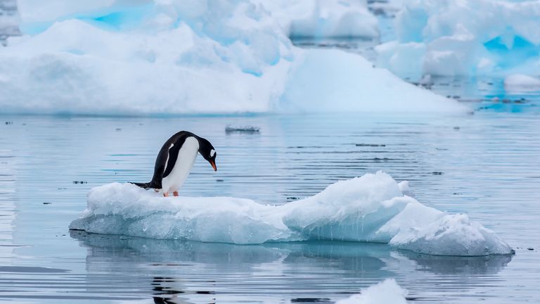Melting ice in Antarctica is said to have contributed to phenomenon. Pic: iStock