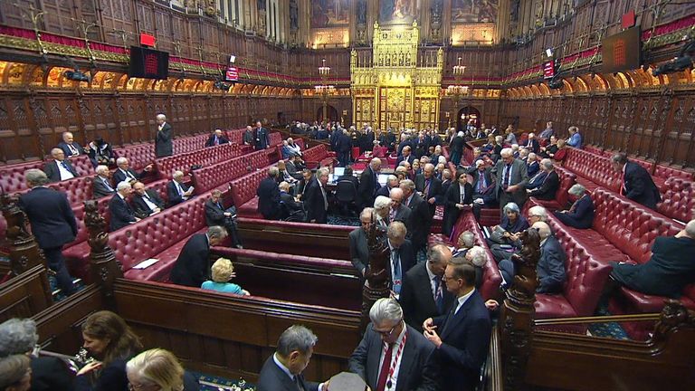 Hereditary peers to be removed from House of Lords - but there might be ...