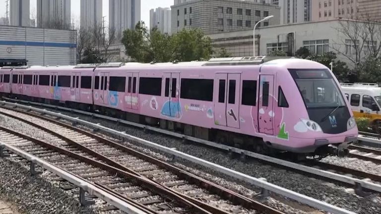Trains in Wuhan are decorated with cherry blossom designs