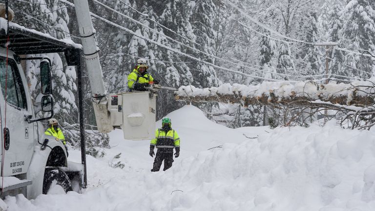 Crews clears trees along Donner Lake, where power was lost due to a snow storm, Saturday, March 2, 2024, in Truckee, Calif. (AP Photo/Brooke Hess-Homeier)