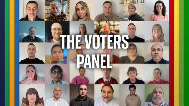 The Voters Panel
